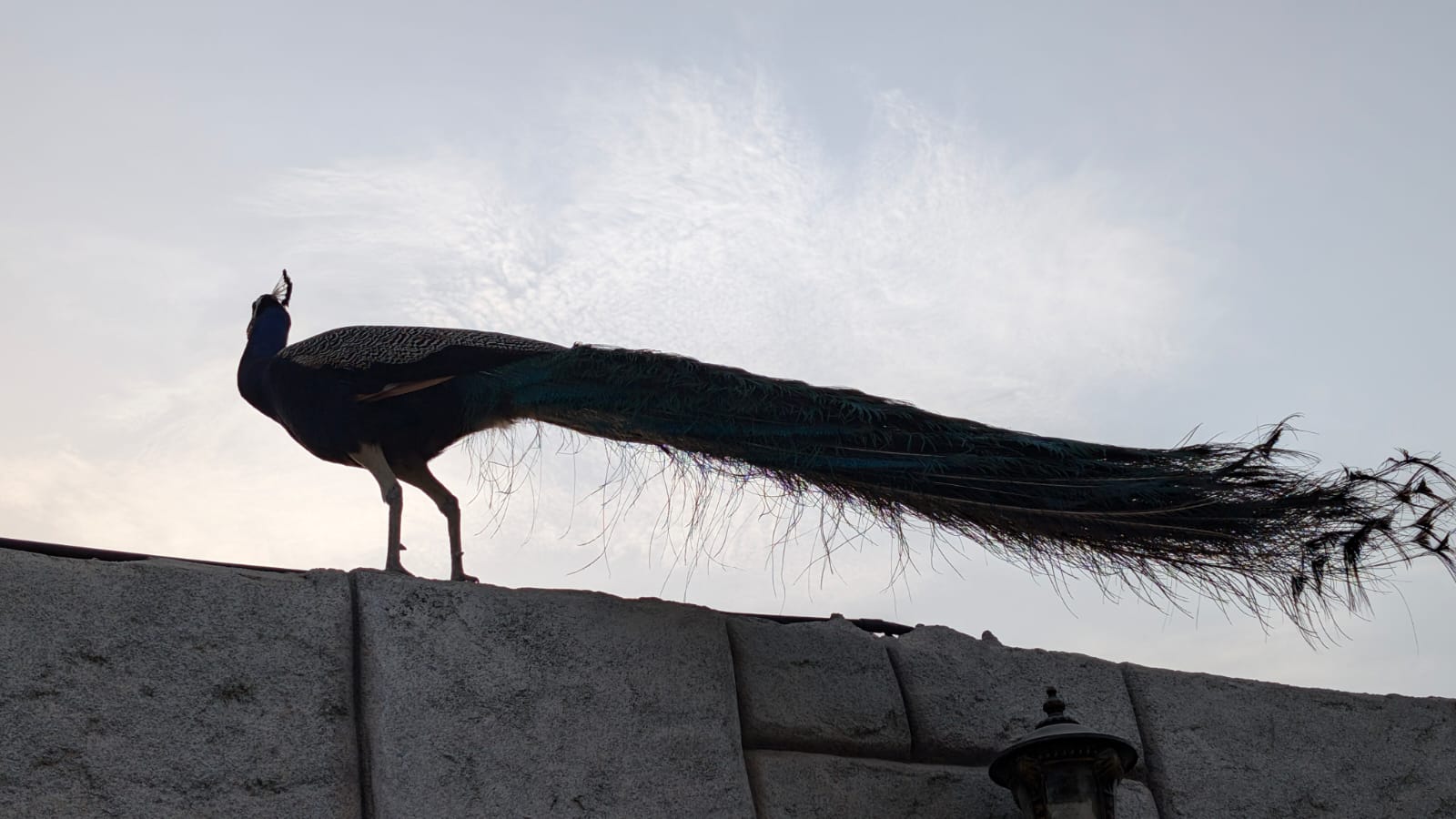 48 Hours In Abu Dhabi: A Perfect Blend Of Culture, Luxury, And Adventure